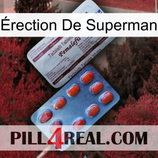 Érection De Superman 36